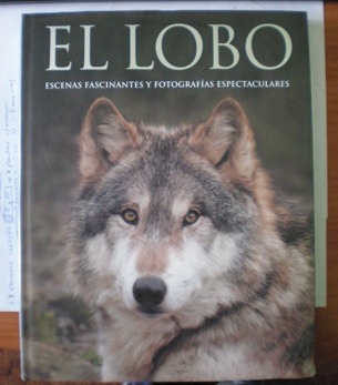 El lobo El lobo