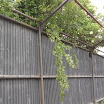 Wine Shed going 7.jpg