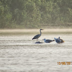 IMG_6474.JPG