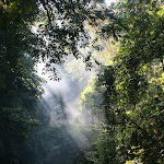 IMG_6948.JPG