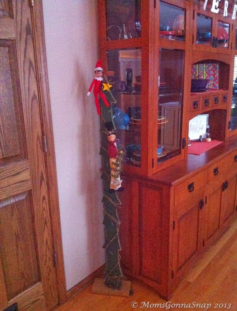Elf on the Shelf by MomsGonnaSnap (13) Elf on the Shelf by MomsGonnaSnap (13)