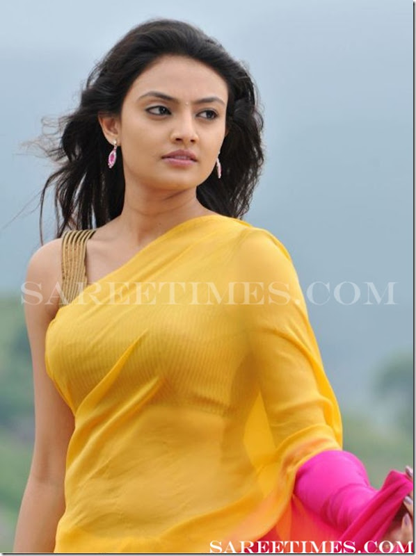 Nikitha_Narayan_Designer_Saree