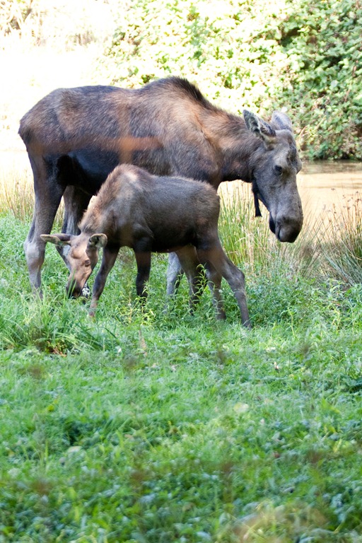 [20120903-IMG_9788-2%255B3%255D.jpg]