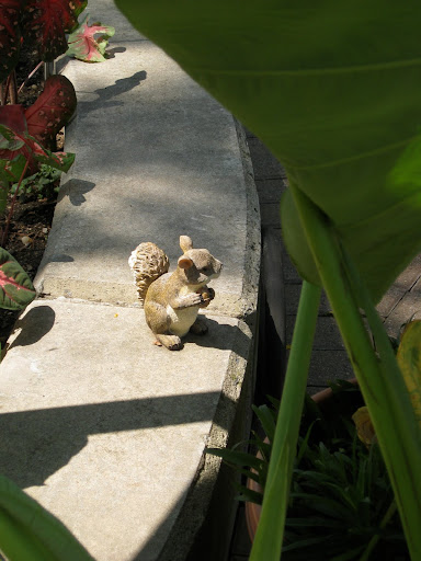 I wonder if the real squirrels get confused by this garden denizen! I wonder if the real squirrels get confused by this garden denizen!