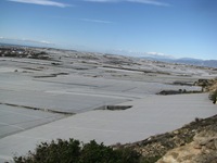 IMG_2488 IMG_2488