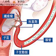 聖保祿婚前婦檢郭富城准熊黛林生 聖保祿婚前婦檢郭富城准熊黛林生