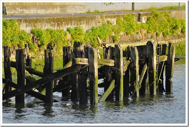 DSC_6022 DSC_6022