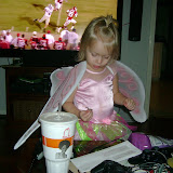 Halloween 2009 Invasion of the Fairy Princess!