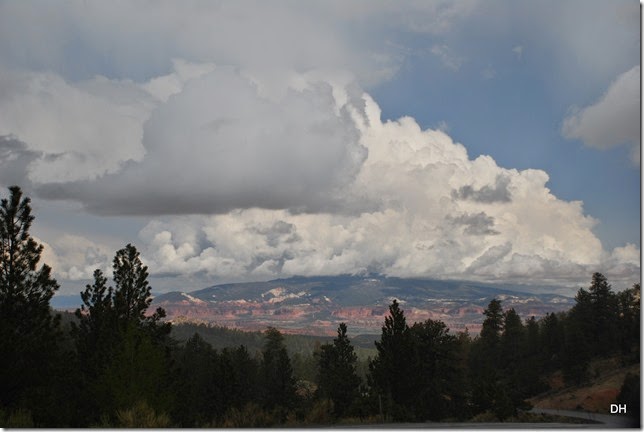 05-24-14 Capital Reef Area (6)