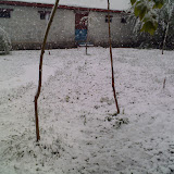 0528_123954.jpg