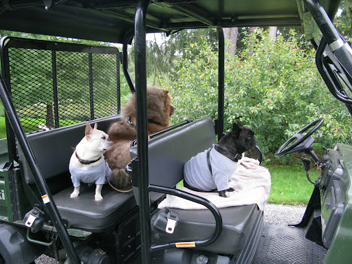 Well, we're all set to go driving but where is Uncle Carlos?