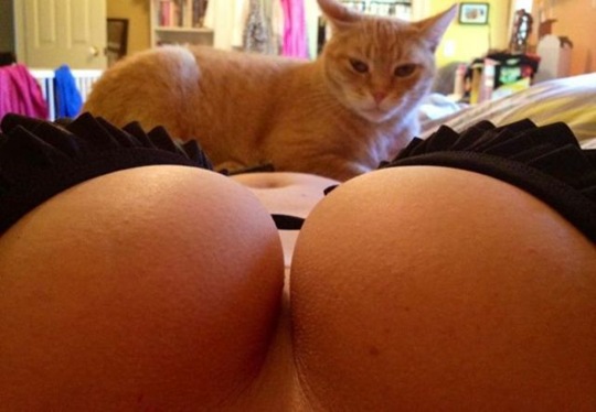 [viral-picdump-pics-7%255B2%255D.jpg]