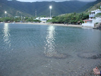 DSC08774.JPG