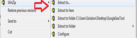 extract with winzip
