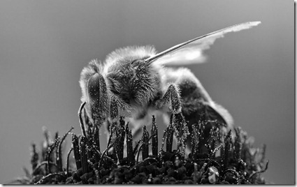 n_200556 n_200556