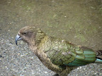IMG_0722.JPG