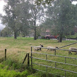 IMG_1024.jpg