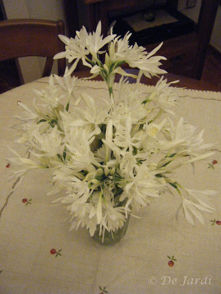 2012_09010006.jpg