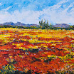 Amapolas en Biniali