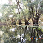 DSCN4545.JPG