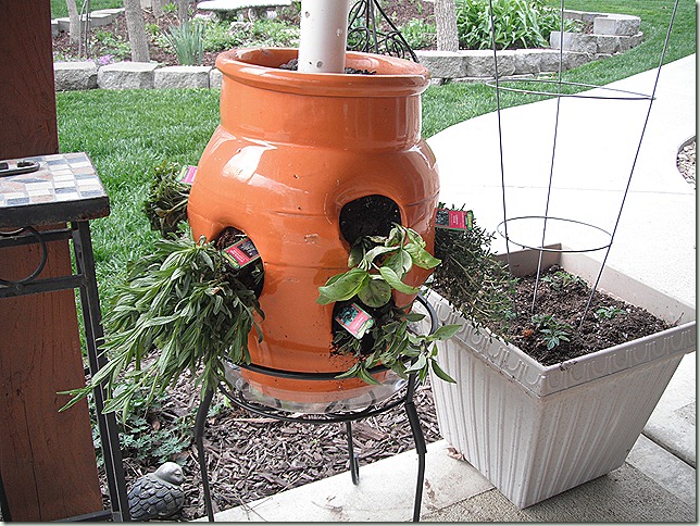 Herb Pot Herb Pot