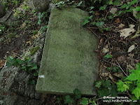 Cmentarz przy ul. Samotnej w Poznaniu