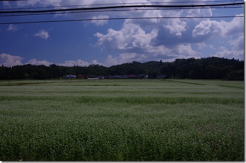 IMGP9598 IMGP9598