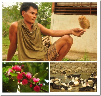 wildlife wildlife