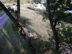 P5220154.JPG