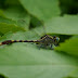 P1070401