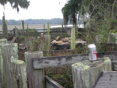 feed cows 043 feed cows 043