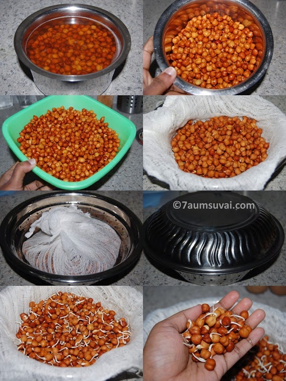 [Sprouted%2520black%2520chickpea%2520process.jpg]