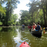 Two OClock Bayou Paddle July 14, 2012 - IMG_0011.JPG