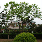 Qingdao - Les Jolies Maisons