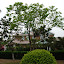 Qingdao - Les Jolies Maisons