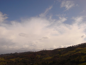 DSC01116.JPG