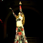 Document Name_3_280.JPG