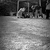 Sommerliga 2011 - [1] Boule