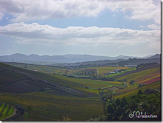 P1190012 P1190012