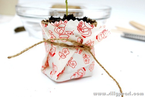 SeedlingTeacherGift4