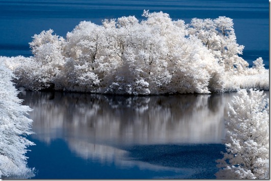 Infrared_Photography_26 Infrared_Photography_26