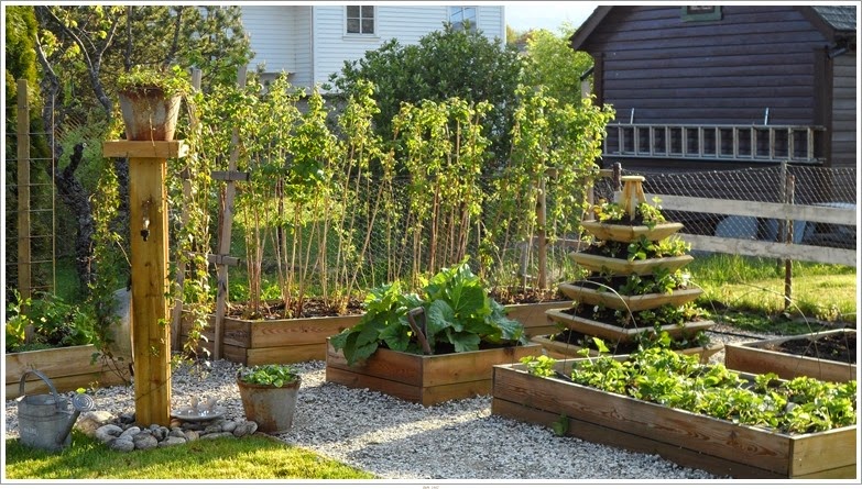 [SAM_1467-horz%255B3%255D.jpg]