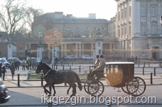 IMG_0922 IMG_0922