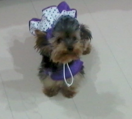 [2012-05-09%252021.45.51%255B9%255D.jpg]