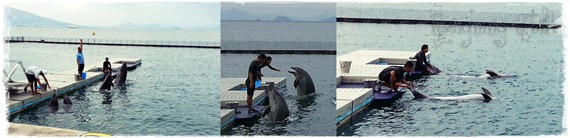 20130308_151528-horz