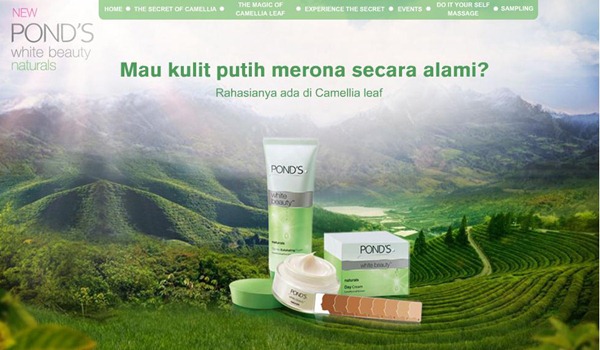 [Ponds%255B3%255D.jpg]