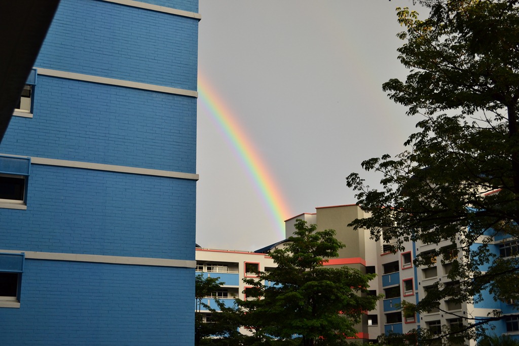 [DSC_0473%255B3%255D.jpg]