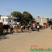 DesfiledeCarrosdeBois2011-057.jpg