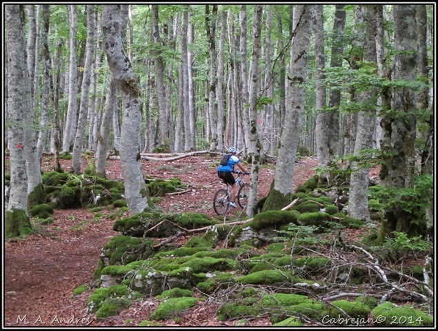 btt urbasa 150 btt urbasa 150