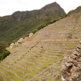 P5273329.JPG